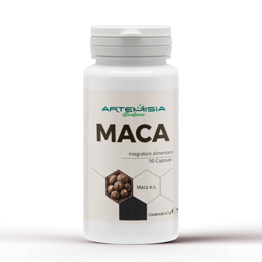 MACA